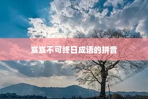 岌岌不可终日成语的拼音