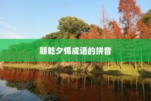 朝乾夕惕成语的拼音