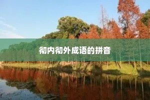 彻内彻外成语的拼音