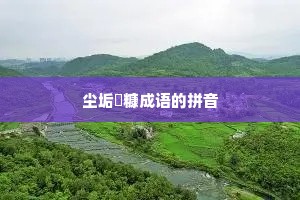 尘垢粃糠成语的拼音