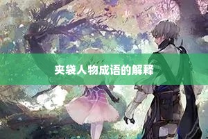 夹袋人物成语的解释