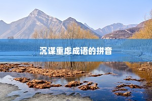 沉谋重虑成语的拼音
