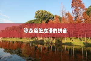 称奇道绝成语的拼音