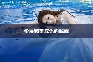 价廉物美成语的解释