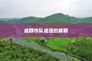 成群作队成语的解释