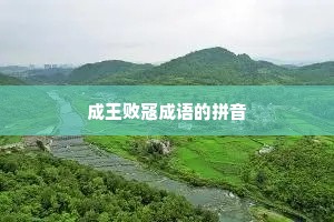 成王败寇成语的拼音