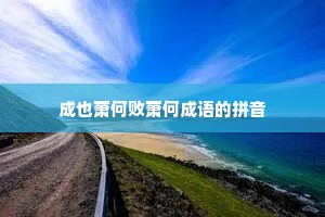 成也萧何败萧何成语的拼音