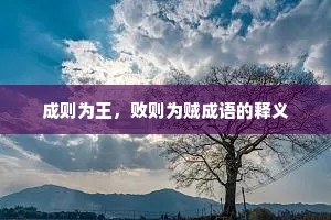 成则为王，败则为贼成语的释义