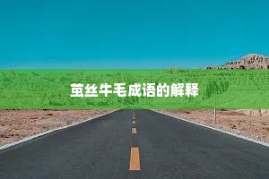 茧丝牛毛成语的解释