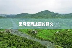 见风是雨成语的释义