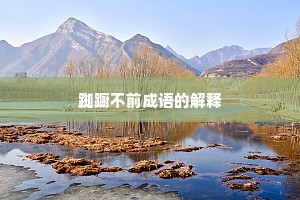 踟蹰不前成语的解释