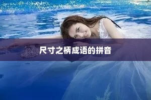 尺寸之柄成语的拼音