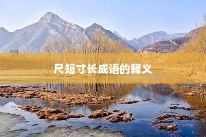尺短寸长成语的释义