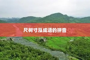尺树寸泓成语的拼音
