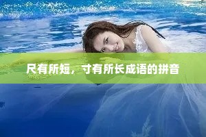 尺有所短，寸有所长成语的拼音