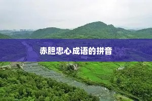 赤胆忠心成语的拼音