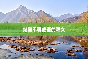 桀骜不驯成语的释义