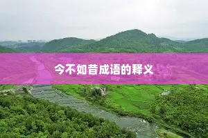 今不如昔成语的释义
