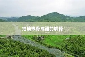 抽筋拔骨成语的解释