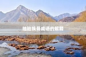 抽胎换骨成语的解释