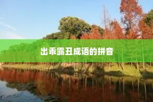 出乖露丑成语的拼音