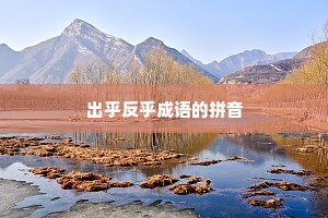 出乎反乎成语的拼音