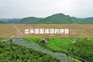 出头露面成语的拼音