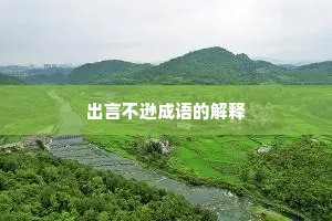 出言不逊成语的解释