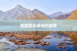 楚璧隋珍成语的解释