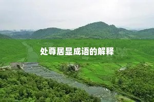 处尊居显成语的解释