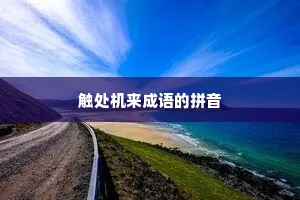 触处机来成语的拼音