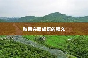 触目兴叹成语的释义