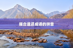 揣合逢迎成语的拼音