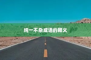 纯一不杂成语的释义
