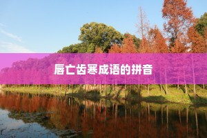 唇亡齿寒成语的拼音