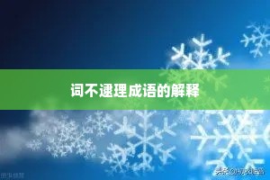 词不逮理成语的解释