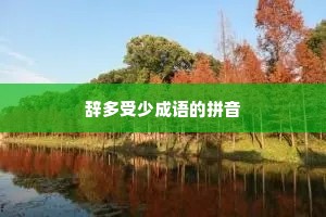 辞多受少成语的拼音