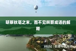 明察秋毫之末，而不见舆薪成语的解释