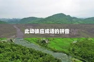 此动彼应成语的拼音