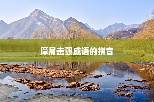 摩肩击毂成语的拼音