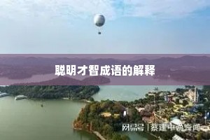 聪明才智成语的解释