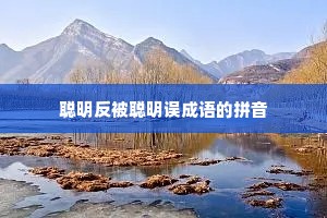 聪明反被聪明误成语的拼音