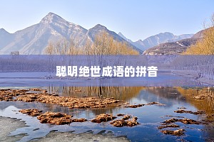 聪明绝世成语的拼音