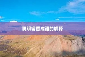 聪明睿智成语的解释