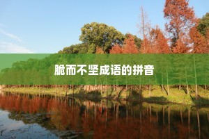 脆而不坚成语的拼音