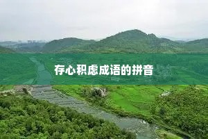 存心积虑成语的拼音
