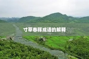 寸草春晖成语的解释