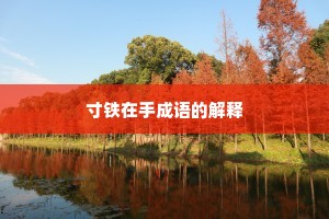 寸铁在手成语的解释