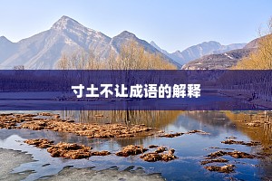寸土不让成语的解释