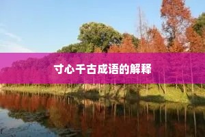 寸心千古成语的解释